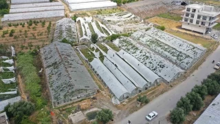 Antalya'da 'hortum'un zarar gndz ortaya kt