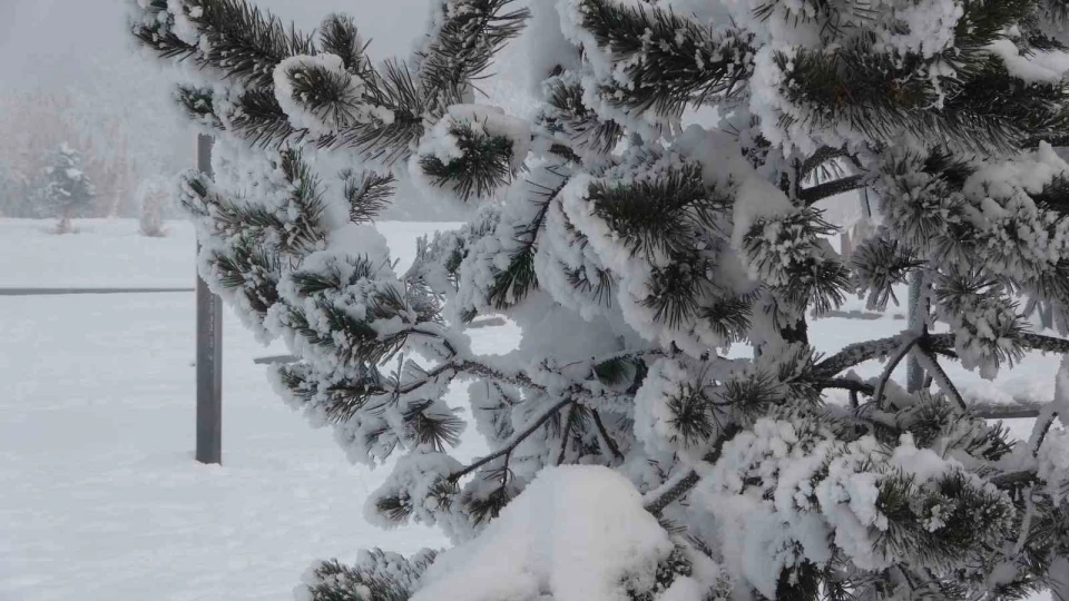 Ardahan'da dondurucu so�uklar etkisini art�rd�