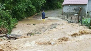 Artvin'de sa�anak ta�k�nlara neden oldu