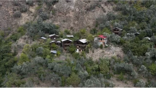 Artvin'de tarih kokan ky