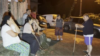 Artvin'de yaban domuzu n�beti