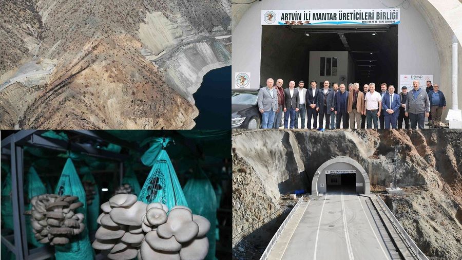 Artvin'de yanl�� yere yap�lan 300 metrelik t�nelde mantar �retiliyor