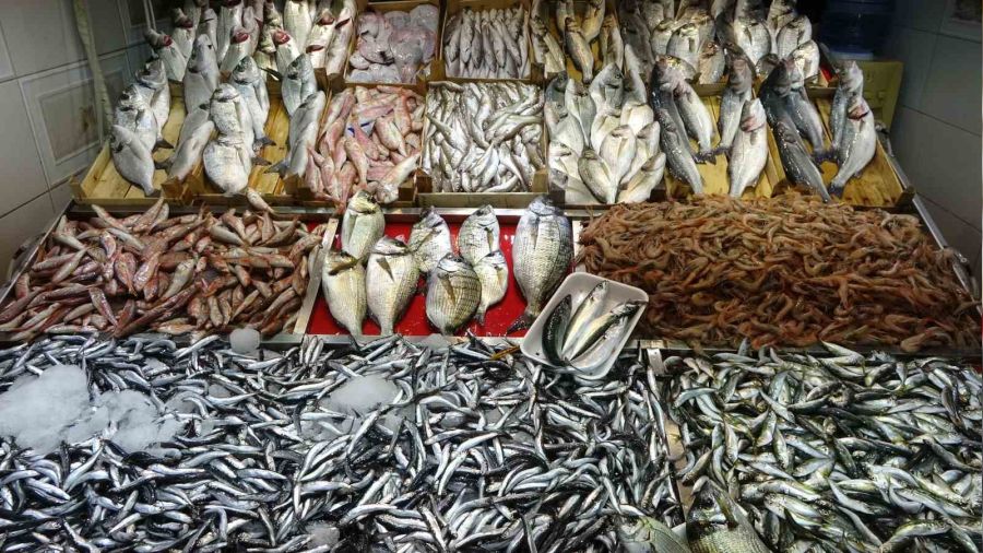 Av yasa��n�n sona ermesiyle bal�k tezgahlar� �enlendi