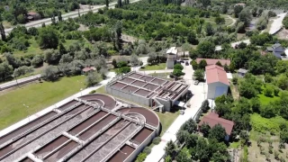 Avcı bakteriler iş başında
