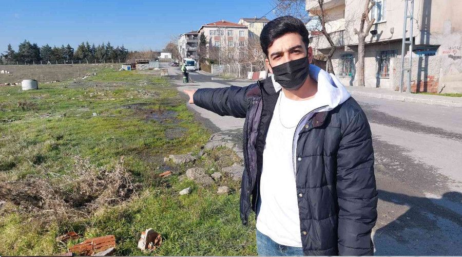 Avcılar'da 3 köpeğin zehirlendiği iddiası