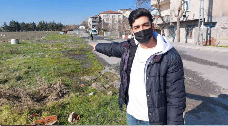 Avcılar'da 3 köpeğin zehirlendiği iddiası