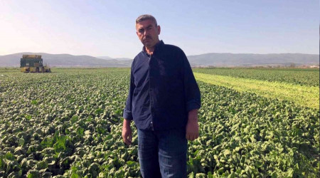 Avrupa'nın ıspanağı Bursa'dan gidiyor