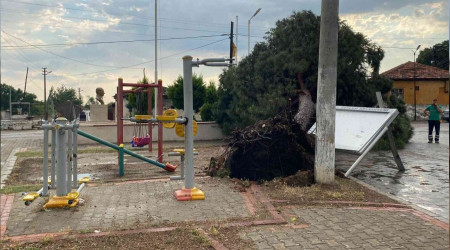 Aydın'da faciadan dönüldü