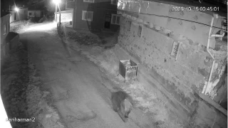 Aylar yerleim yerlerine dadand