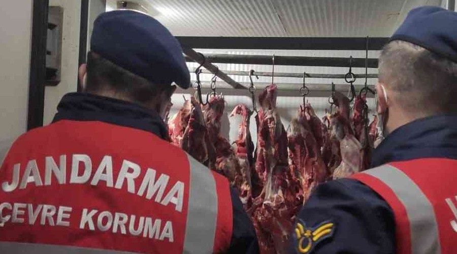 Baba oğul yine tek tırnaklı hayvan eti keserken yakalandı