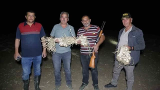Bak ne hale geldik... Sarmsaklar alnmasn diye tarlada nbet tutuyorlar