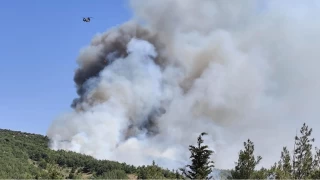 Balkesir'deki orman yangnlarna ilikin 5 kii gzaltna alnd