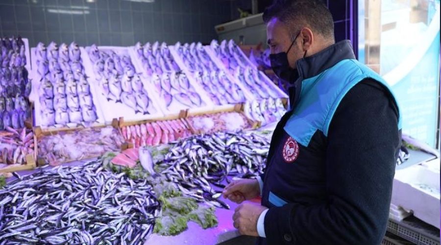 Balıkların boyları teker teker ölçüldü