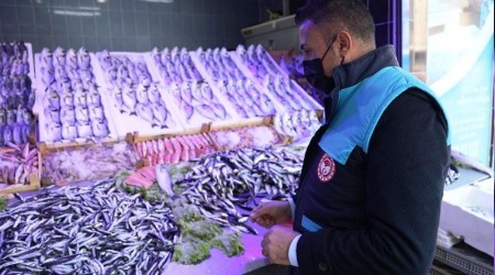 Balıkların boyları teker teker ölçüldü