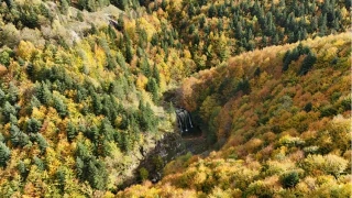 Balkan esintili Karadeniz kasabas�: Ala�am