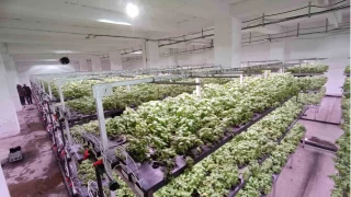 Batman'a eksi birinci katta 30 milyonluk "dikey tarım" yatırımı