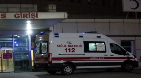 Beslediği pitbull 5 yaşındaki kardeşine saldırdı