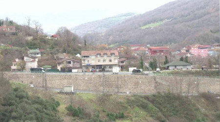 Beykoz'da domuzlar yerleşim yerlerine indi