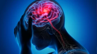 'Beyni olan herkes epilepsi hastas adaydr'