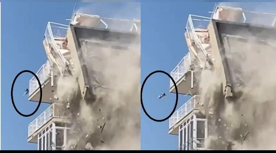 Bina yıkılırken düşen kedi ağır yaralandı: O anlar kamerada