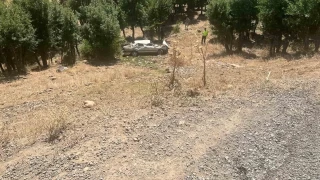 Bingöl'de otomobil dereye yuvarlandı: 1'i ağır 5 yaralı