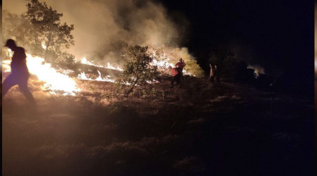 Bingöl'de yangınlardan biri söndürüldü
