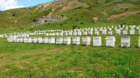 Bitlis balı dünya birincisi oldu