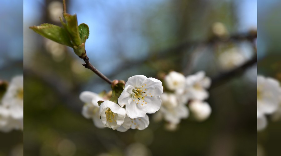 �Bizim g�venlik yurdumuz vard�r�