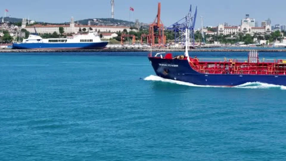 Boğaz Turkuaza döndü, Yunus sürüleri gemilerle yarıştı