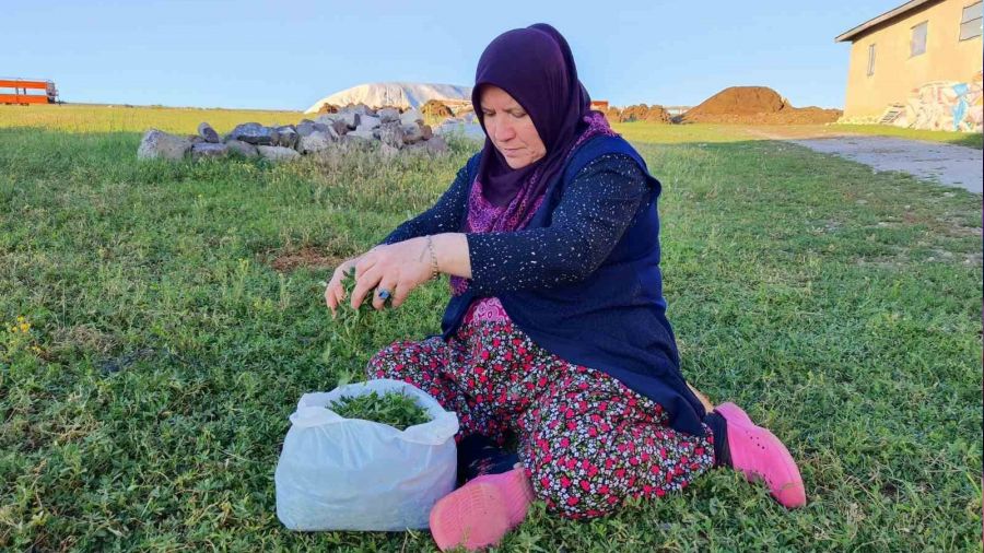Bol ya���lar 'mad�mak' sezonunu uzatt�