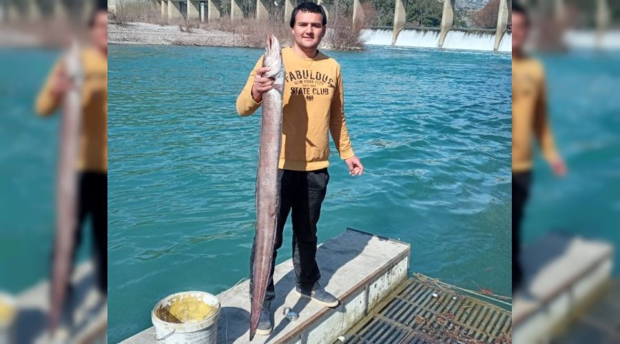 Boyu kadar yılan balığı yakaladı