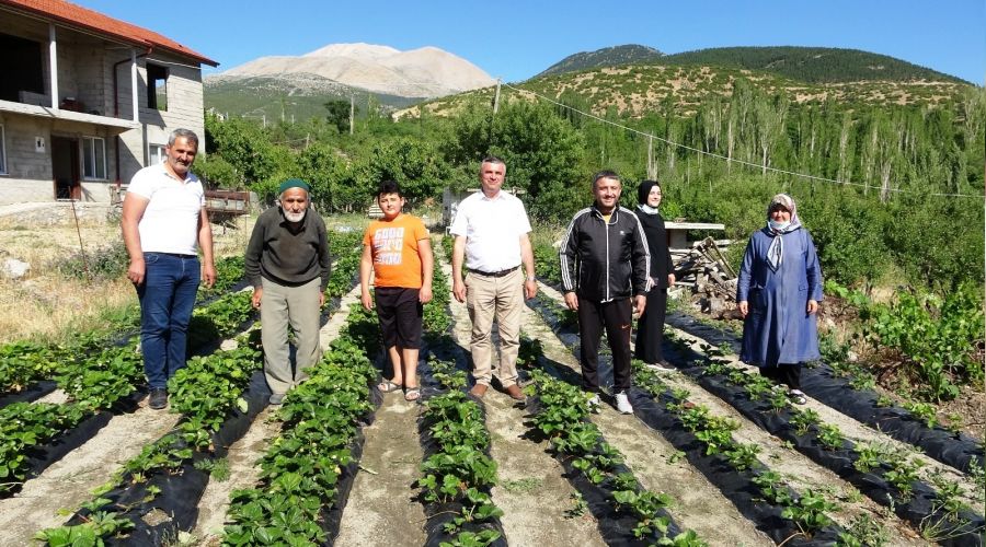 Bu bahçede toplamak ve yemek ücretsiz
