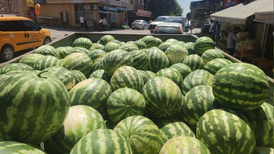 Bu karpuzu yiyen bir daha al�yor