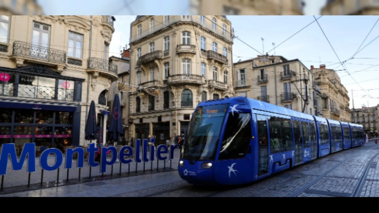  Bu �ehirde toplu ta��ma �cretsiz 
