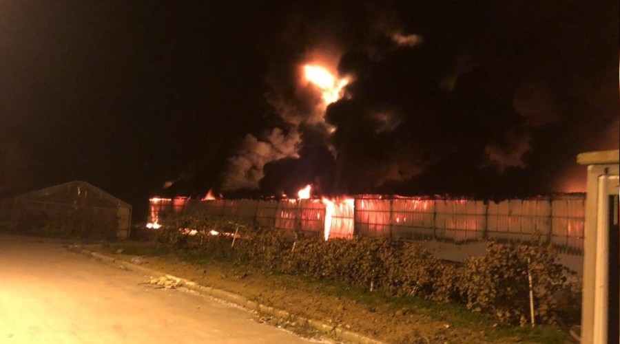 Bursa'da strafor fabrikası alev alev yandı