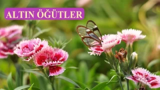 Bütün ümidini Allah’a bağla