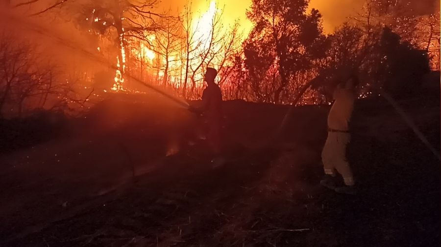 Çanakkale'de büyük yangın