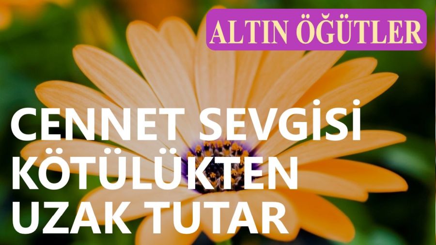 ‘Cennet sevgisi kötülükten uzak tutar’