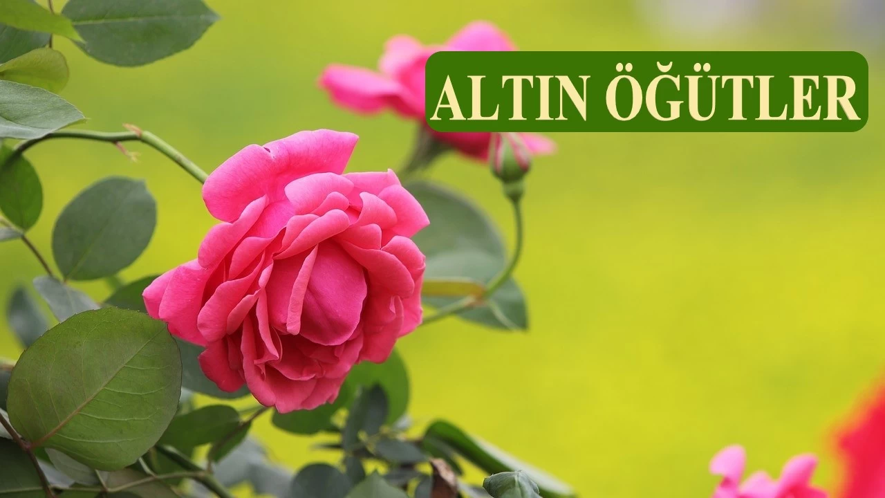 Cennette Resûlullah ile olmanın yolu