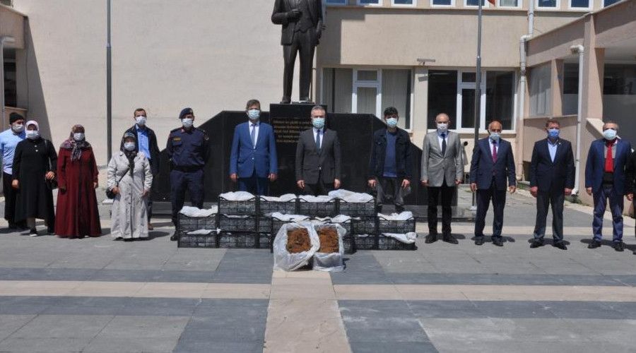 �ift�ilere 60 bin �ilek fidesi da��t�ld� 