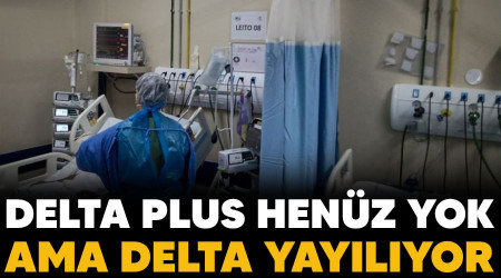 Delta Plus henüz yok ama delta yayılıyor