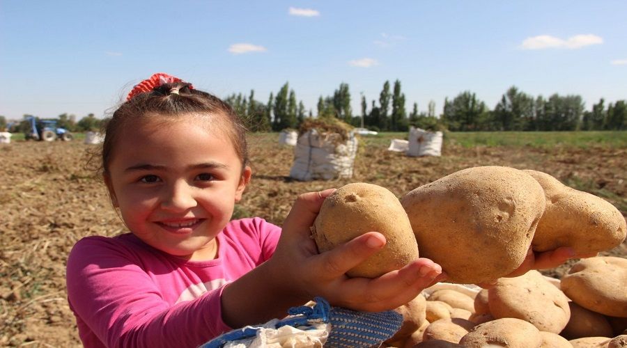 Demek ki devlet piyasaya m�dahale edebiliyormu�