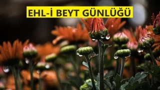 Din kardeşine sövmek yasaklanmıştır