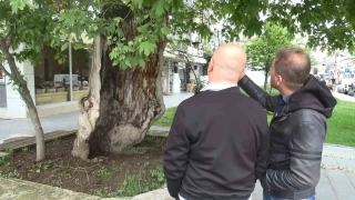 D kabuunun stnde duran asrlk nar akna eviriyor