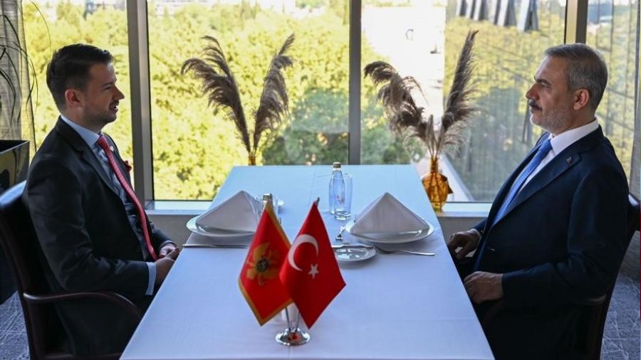 Dışişleri Bakanı Fidan, Karadağ lideri Miltovic'le görüştü