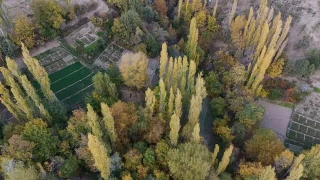 Diyarbakr'da asrlk kerpi evler arasnda renk cmb