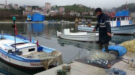 "Doğu Karadeniz her bir yıl balık avı açısından verimsizleşiyor"
