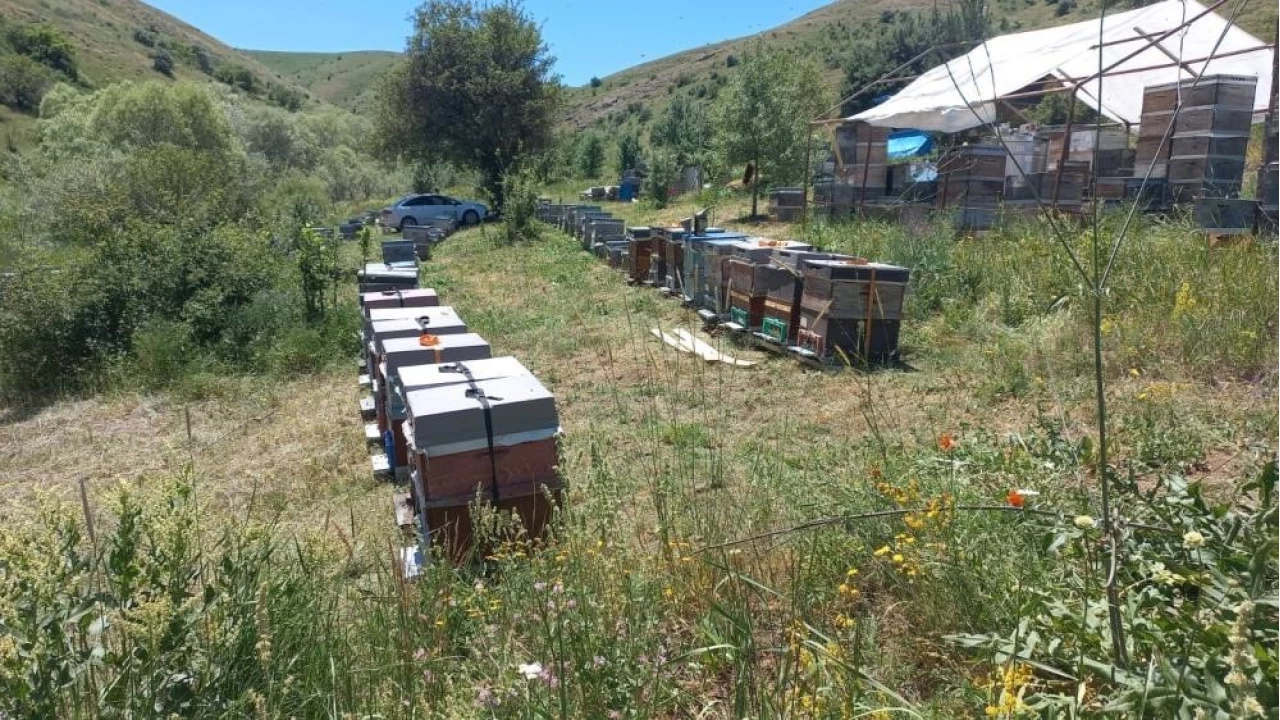 Do�u Karadeniz'de ar�c�l�k alarm veriyor