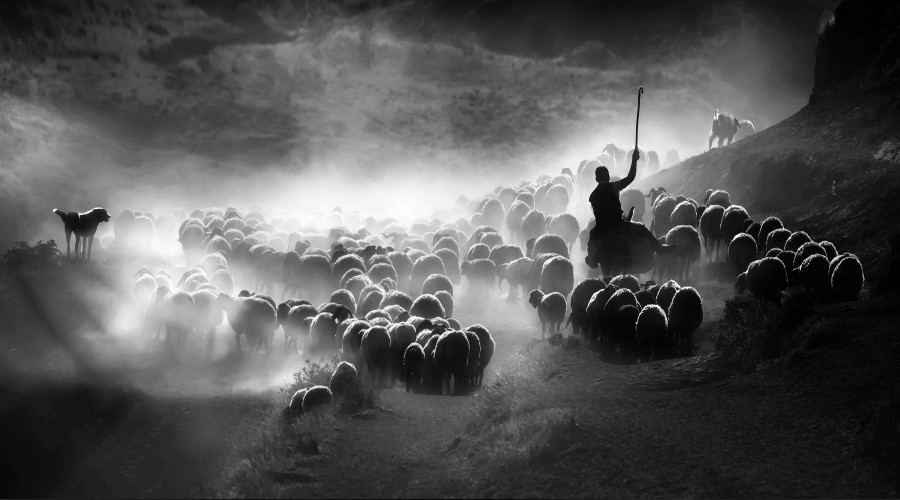 Dünya Fotoğraf Ödülleri’nde kazanan belli oldu