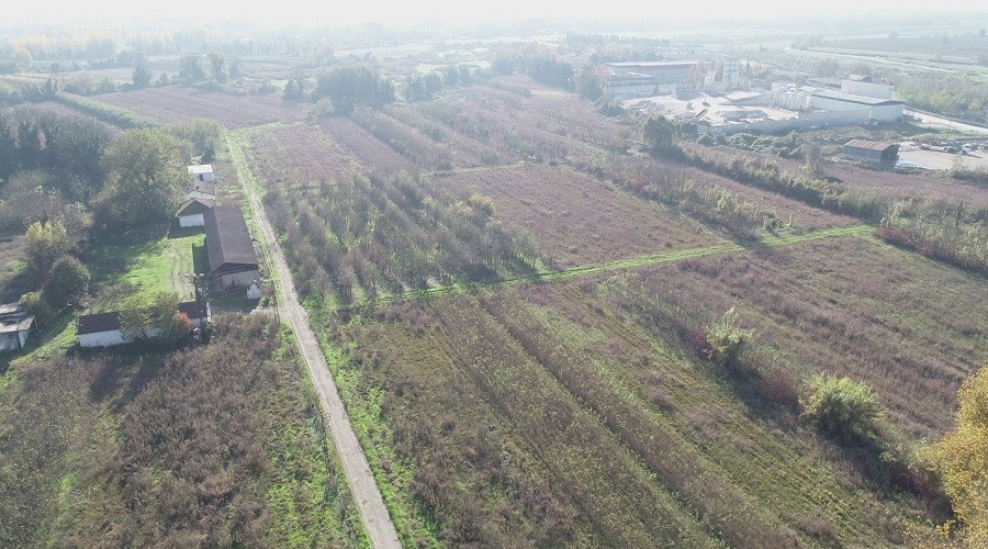 Düzce'de "Tıbbi Aromatik Bitki Yetiştiriciliği hayat buluyor"